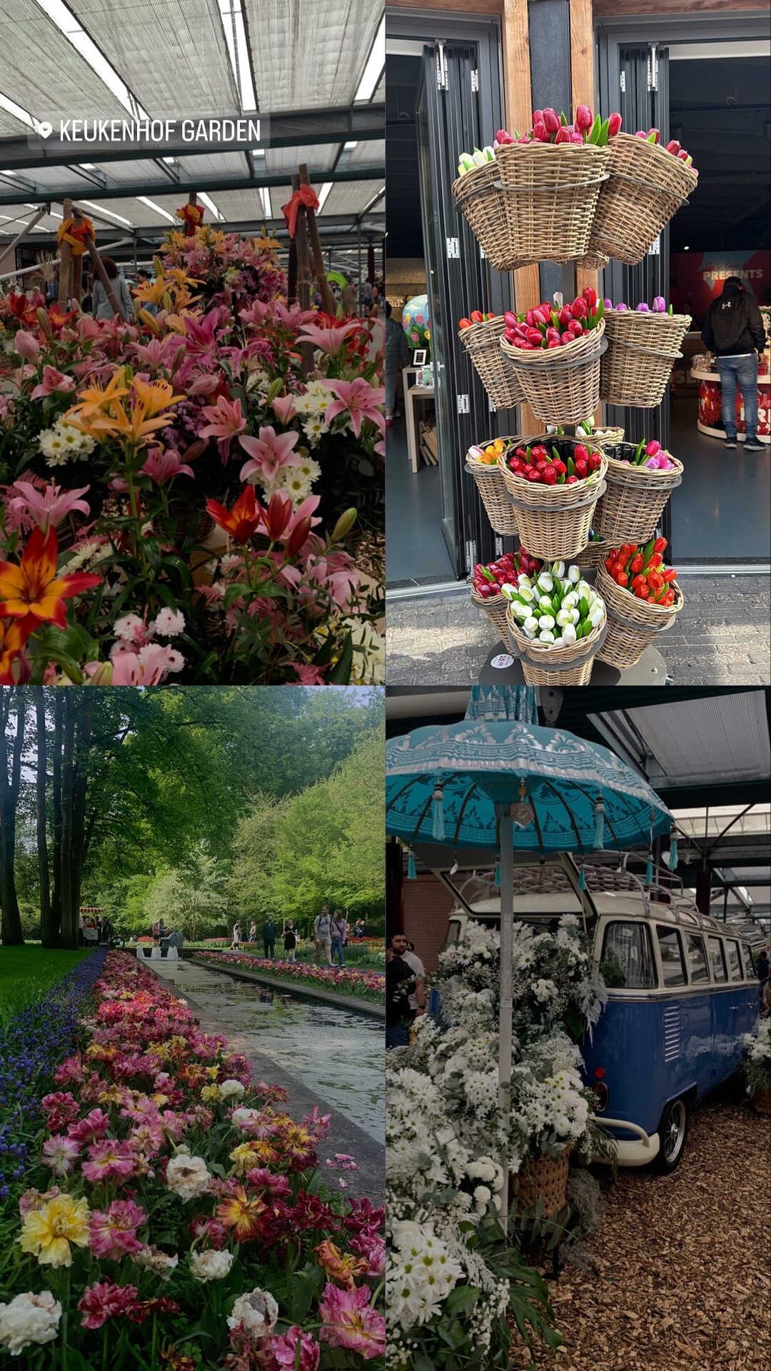 Keukenhof — "The Garden of Europe"